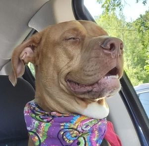 Meet your Posher, Nathan